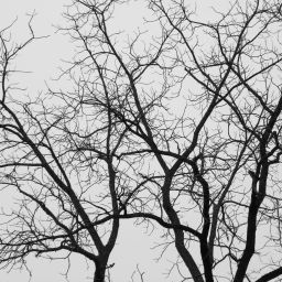 doug-r-w-dunigan-uqG8H4rQNaw-unsplash