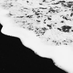 mathias-reding-eHLPVlZBV8I-unsplash