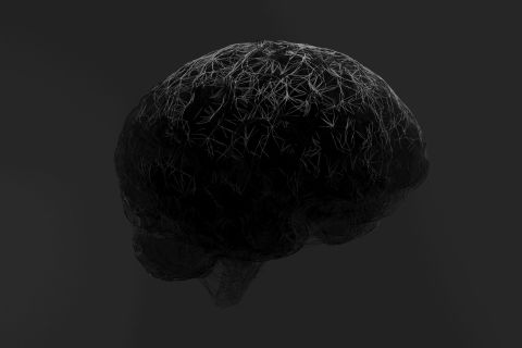 bhautik-patel-m-yAg03XdOk-unsplash